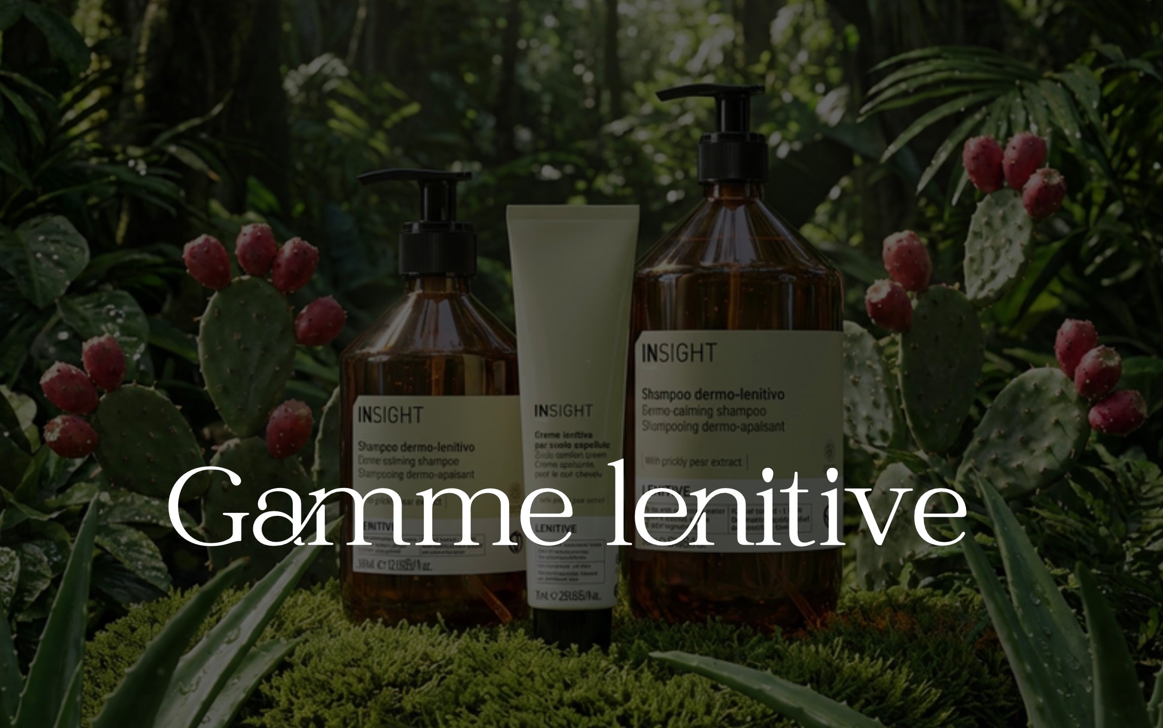 GAMME LENITIVE