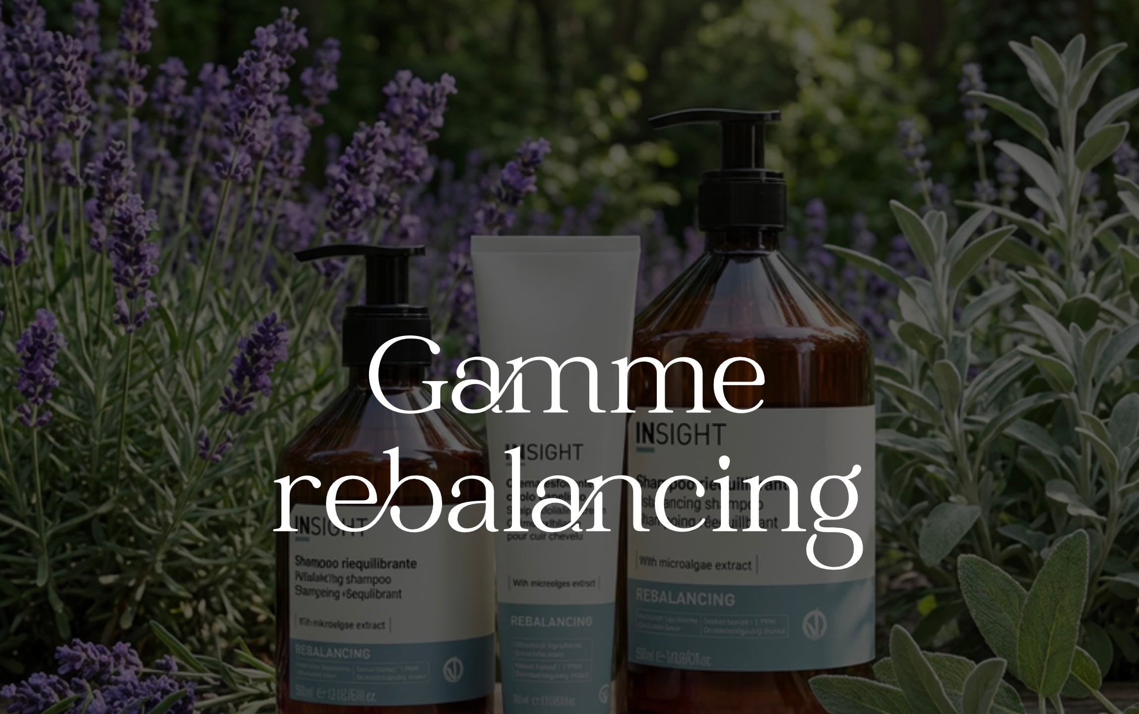 GAMME REBALANCING – INSIGHT REUNION