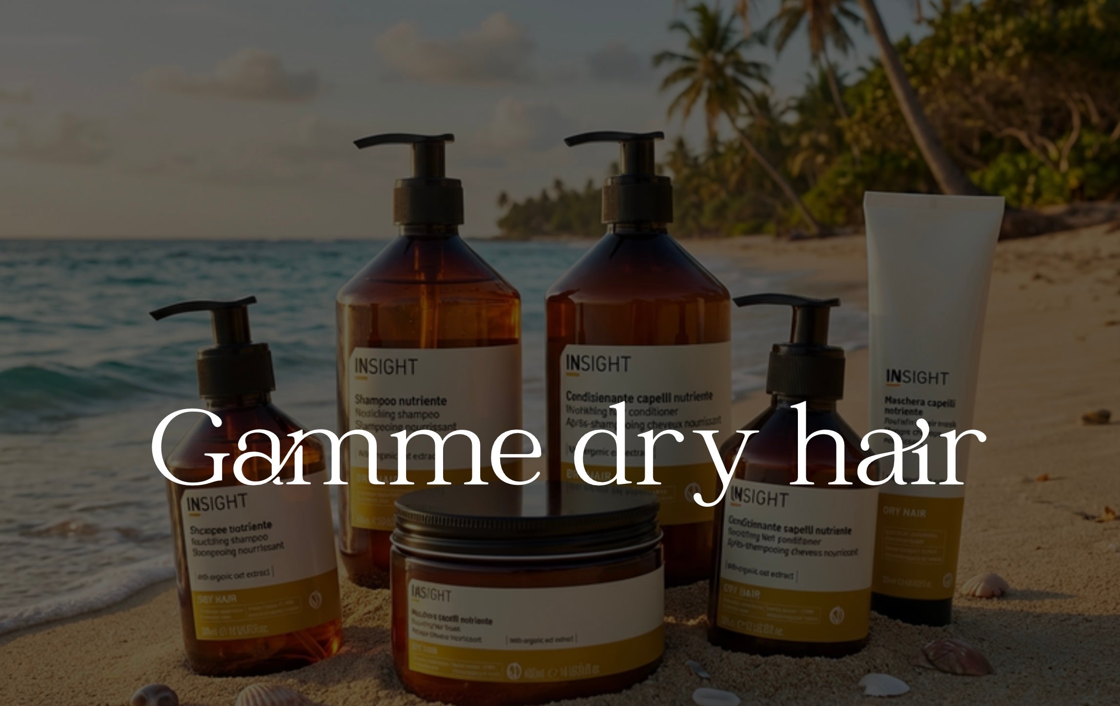 GAMME DRY – INSIGHT REUNION