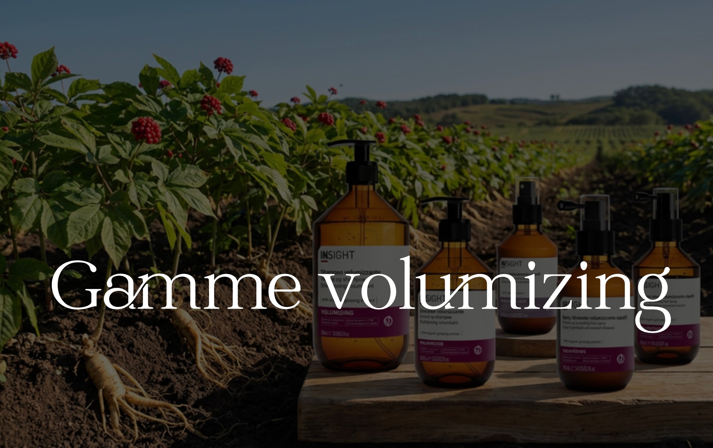GAMME VOLUMIZING